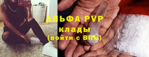 прущие грибы Абдулино