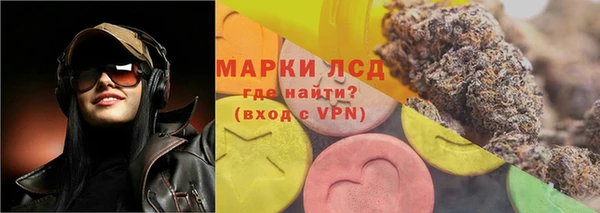 прущие грибы Абдулино