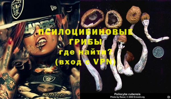 мяу мяу мука Ростов
