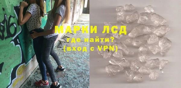 прущие грибы Абдулино