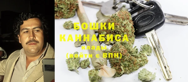 прущие грибы Абдулино