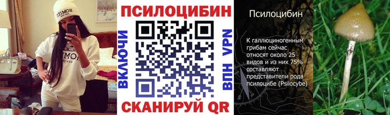 Галлюциногенные грибы MAGIC MUSHROOMS  сколько стоит  Балахна 
