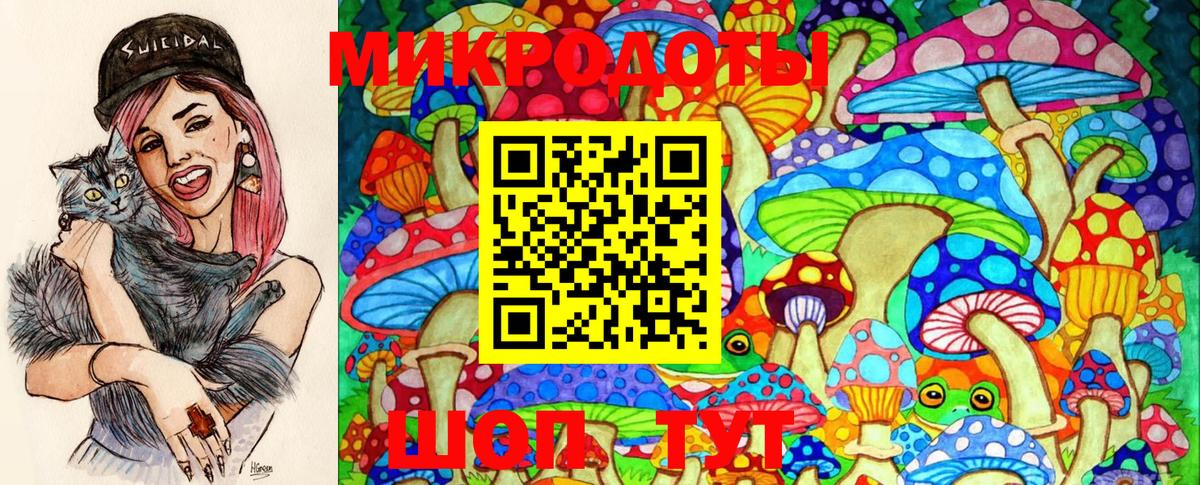 Галлюциногенные грибы MAGIC MUSHROOMS Балахна